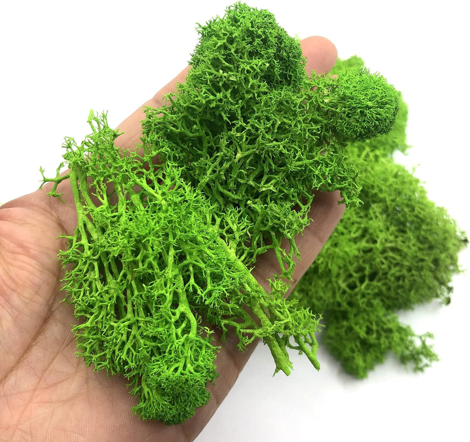 Terrarium Moss Art - 200 グラム人工緑の植物ミニ風景永遠の生活苔草偽の草庭のリビングルームの家の装飾 DIY 工芸品