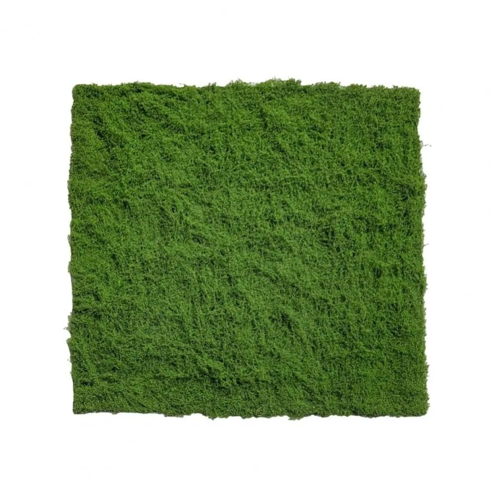DIY人工芝ラグ 耐久性 水やり不要 フェイクモス芝生 本物 - Terrarium Moss Art のレビューと価格