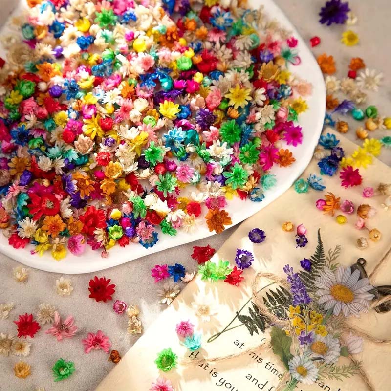 ワックス成形、キャンドル装飾用のカラフルな花、混合樹脂工芸品 - Resin Craft Ideas のレビューと価格