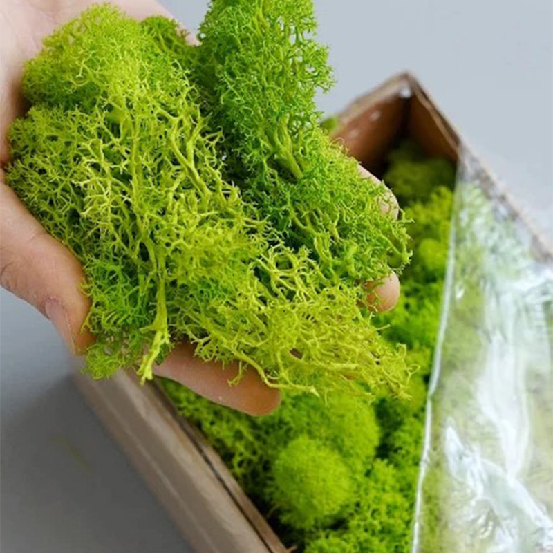200 グラム人工緑の植物ミニ風景永遠の生活苔草偽の草庭のリ - Terrarium Moss Art のレビューと価格